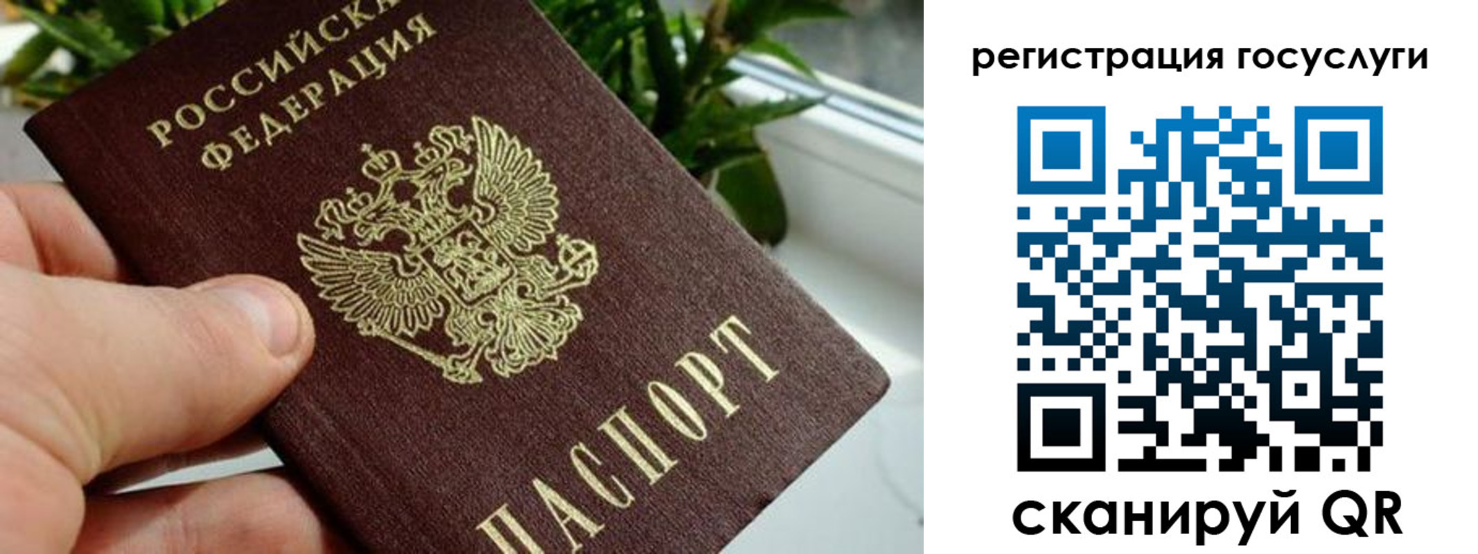 прописка для кредита в Находке